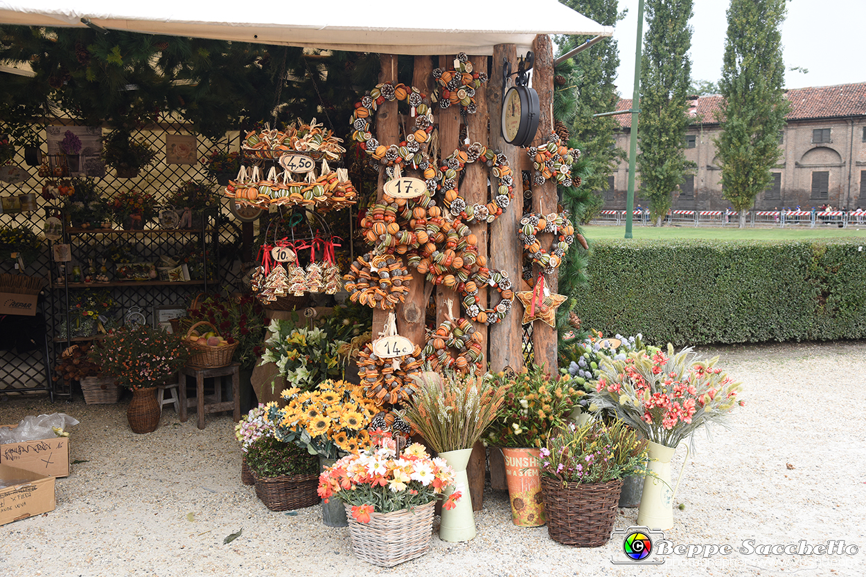 VBS_3457 - Floreal 2023 - Vivere con le piante.jpg